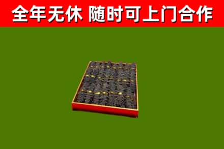 永新回收海参